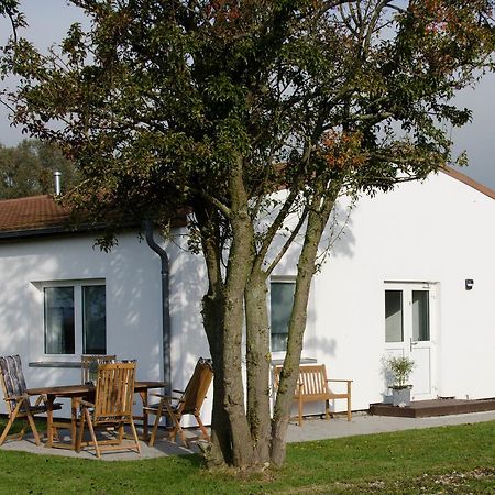Ferienwohnung 1 Wildgans Sagard Exterior foto