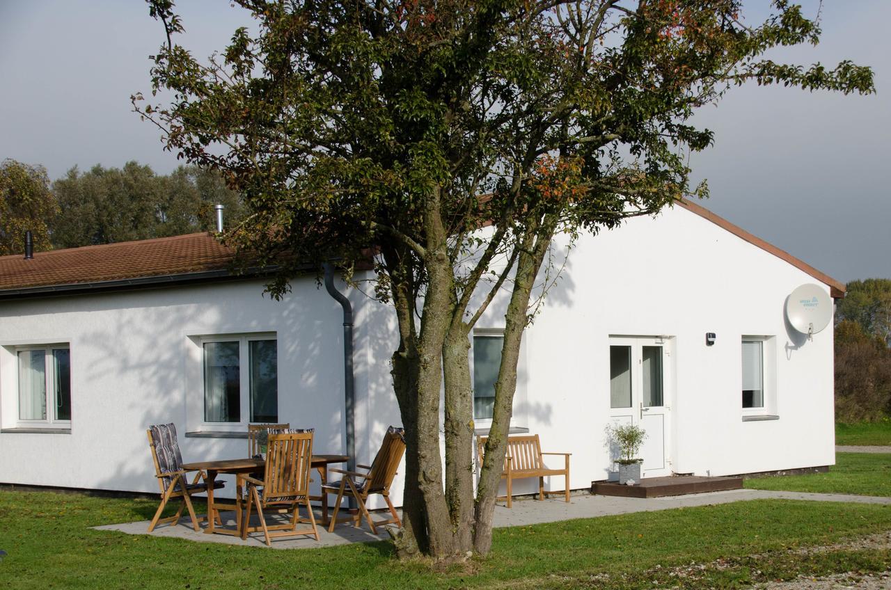 Ferienwohnung 1 Wildgans Sagard Exterior foto